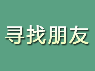 小金寻找朋友